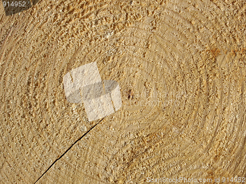 Image of Wood rings