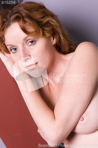 Image of Redhead