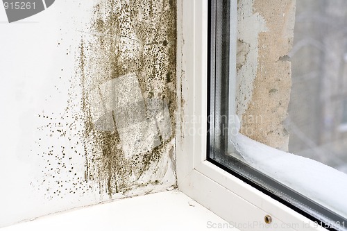 Image of Dampness