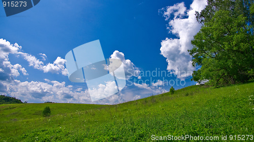 Image of Summer landscape