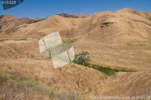 Image of Brown hills