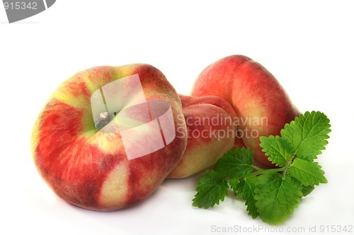 Image of Mountain peach