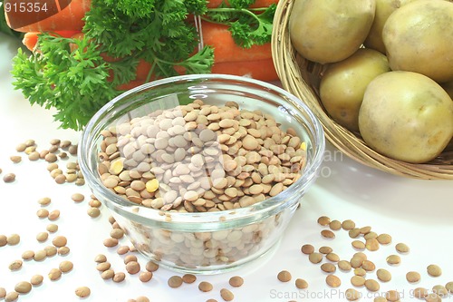 Image of Lentil