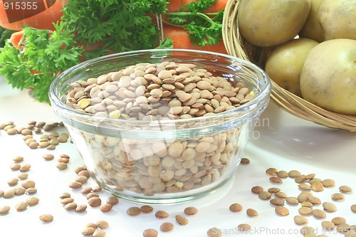 Image of Lentil