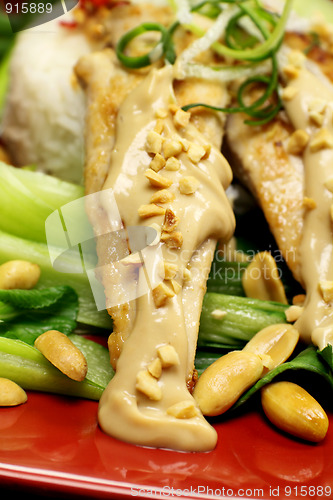 Image of Satay Chicken