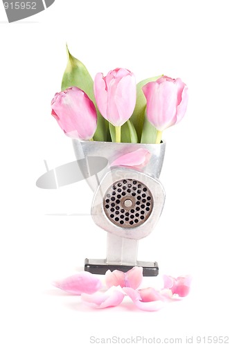 Image of Conceptual photo with flowers