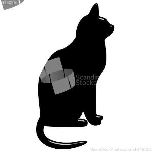 Image of 3D Black Cat