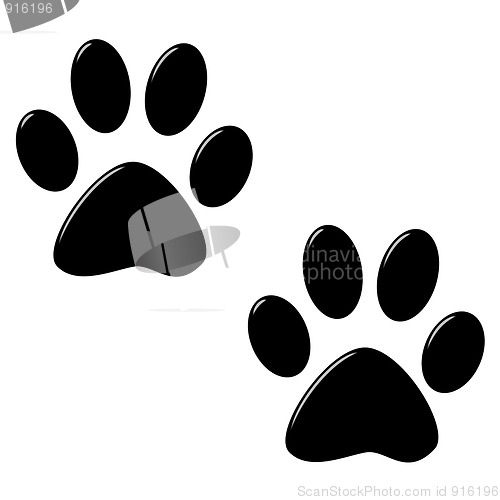 Image of 3D Cat Foot Prints