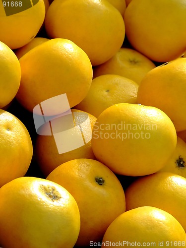 Image of Grapefruit