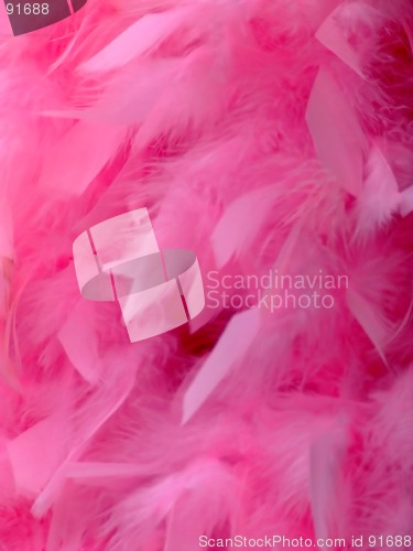 Image of Pink feathers