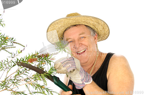 Image of Sawing Gardener