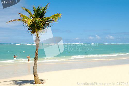 Image of Exotic beach