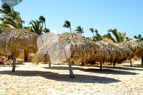 Image of Parasols on beach