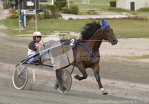 Image of Trotting race