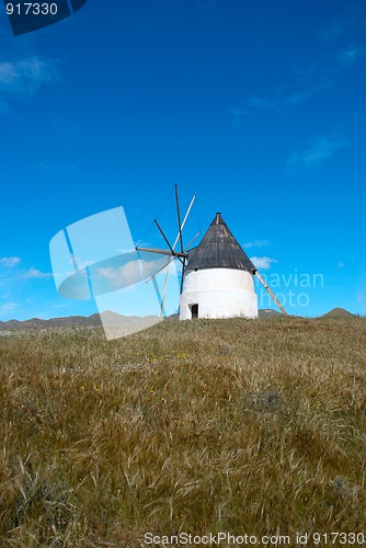 Image of Windmill