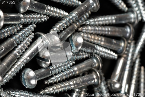 Image of Screws