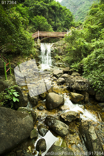 Image of bridge in forest