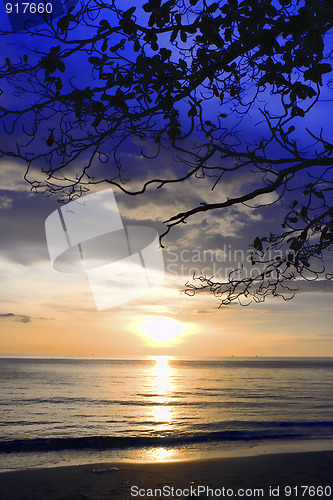 Image of White sandy beach 