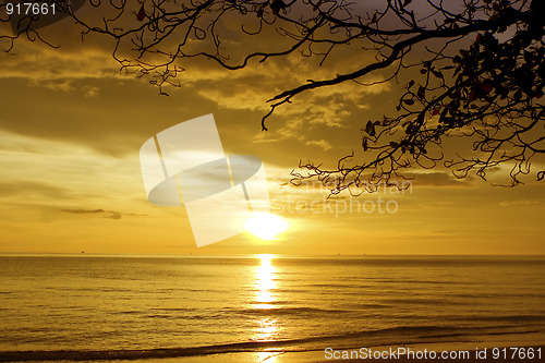 Image of White sandy beach 