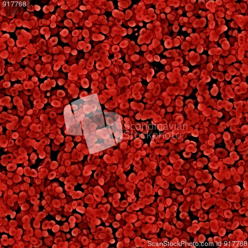 Image of blood