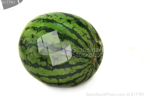 Image of Water melon