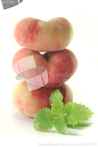 Image of Mountain peach