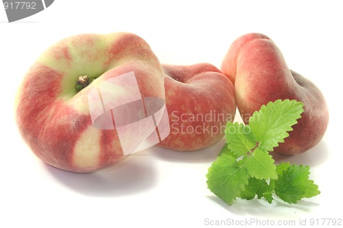 Image of Mountain peach