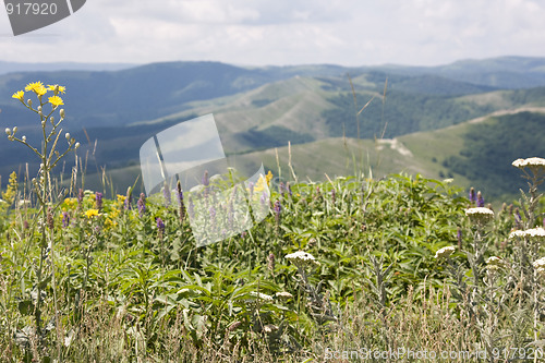 Image of Mountain landscape