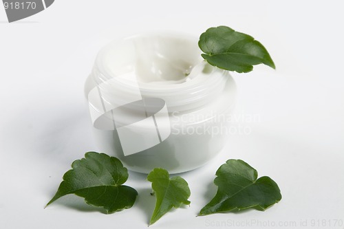 Image of cosmetic cream with green leaves