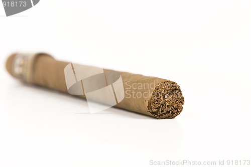 Image of havana brown cigar