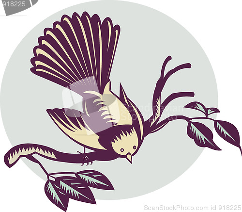 Image of New Zealand fantail bird 