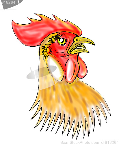 Image of rooster or cockerel