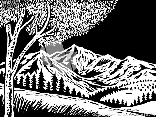 Image of mountain scene with tree