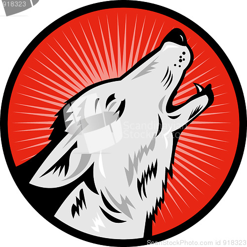 Image of wolf howling n