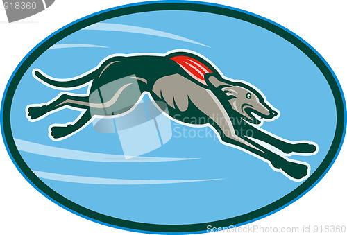 Image of Greyhound racing and jumping