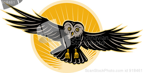 Image of owl