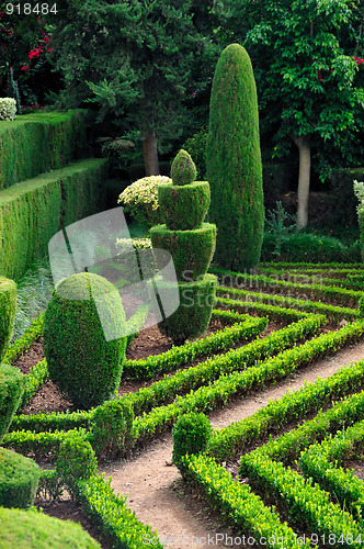 Image of Decorative green park – Botanical garden Funchal, Madeira