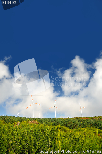 Image of Eolic turbines –Paul de Serra, Madeira