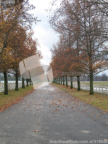 Image of Autumn Road