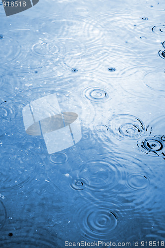 Image of Raindrop Water Ripples