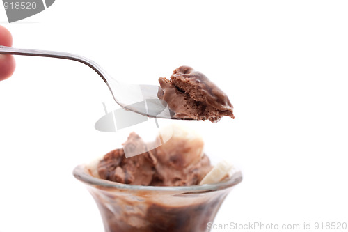 Image of Chocolate Ice Cream Sundae