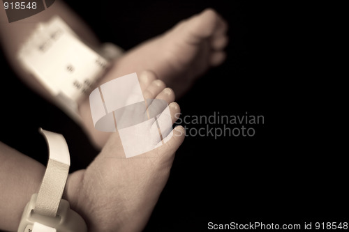 Image of Newborn Baby Feet