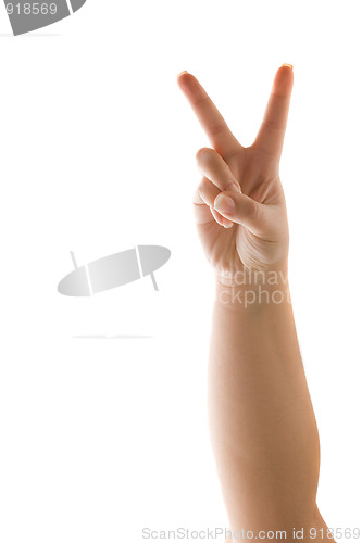 Image of Hand Showing a Peace Sign