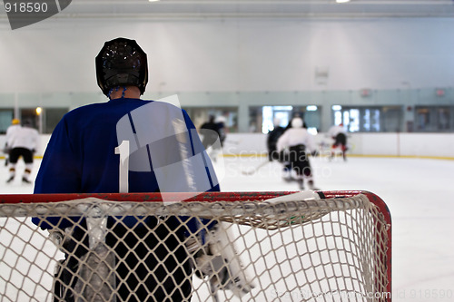 Image of Hockey Goalie