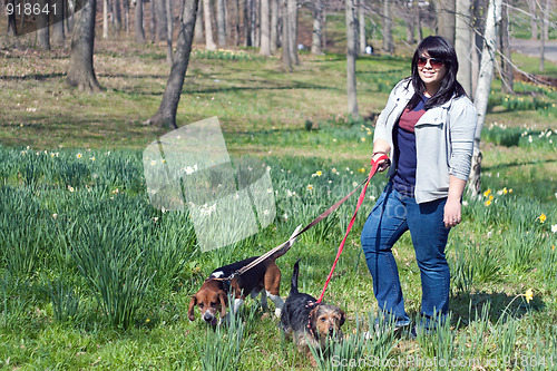Image of Woman Walking Her Dogs