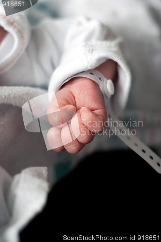 Image of Newborn Baby Hand