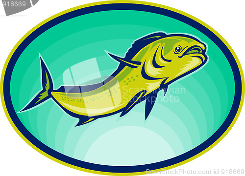 Image of dolphin fish or mahi mahi