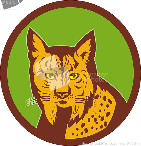 Image of Iberian Lynx wild cat