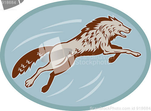 Image of wild dog wolf jumping