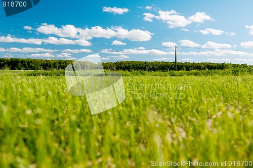 Image of Landscape
